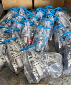 Van cửa inox 304 ANSI#150 ODK