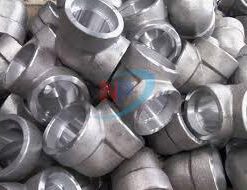 Co áp Lực Inox #3000