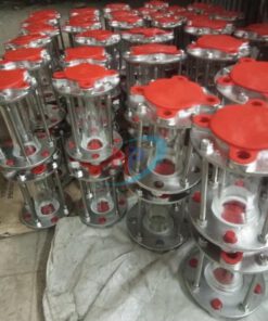 Lượng Kế Mặt Bích Inox