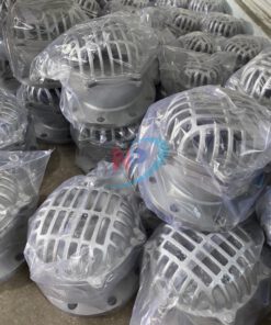 Rọ Bơm Inox Mặt Bích Pn16