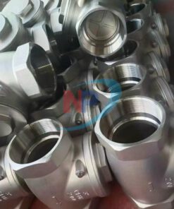 Van 1 Chiều Lá Lật Inox Nối Ren Emico