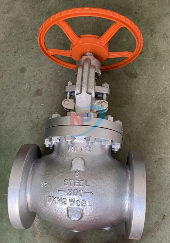 Van Cầu Thép Ansi #300 Kitz